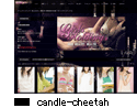 fUCNo.13 candle-cheetah