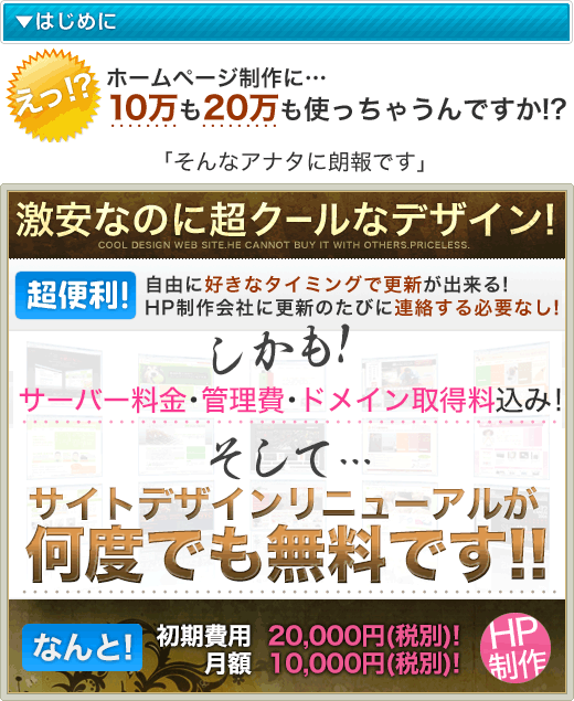 激安なのに超クールなデザイン!サイトデザインリニューアルが何度でも無料です!!
