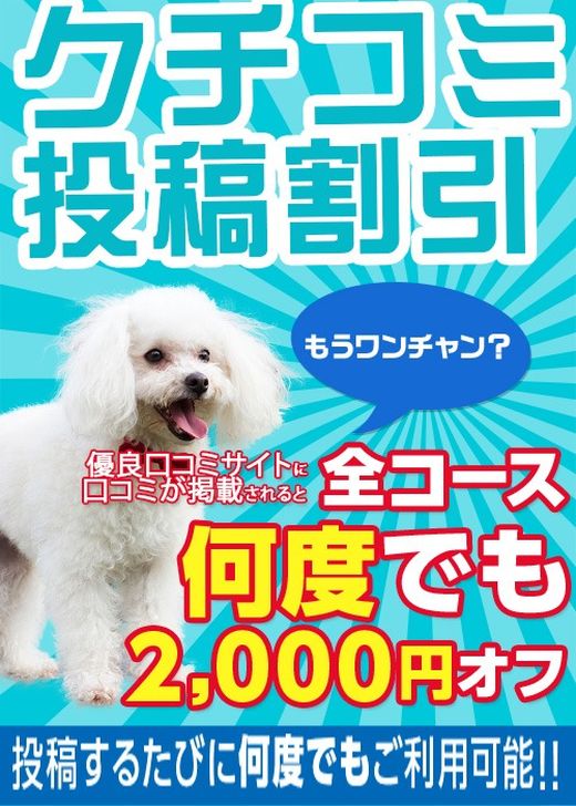 Cxg摜
